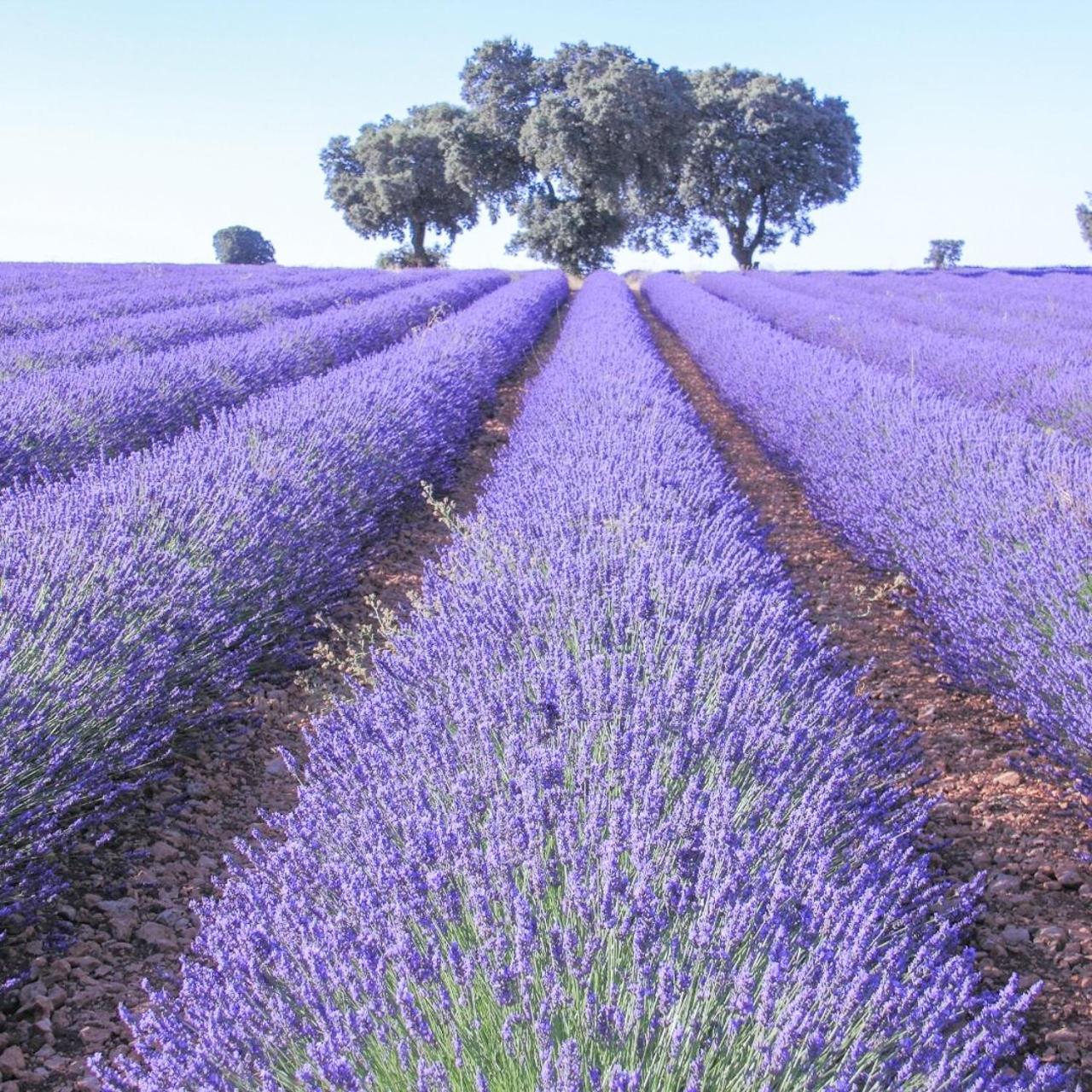 Le Cosy Valcros, Design Et Confort Aix-en-Provence Dış mekan fotoğraf